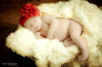 Jonnae - Infant Photos